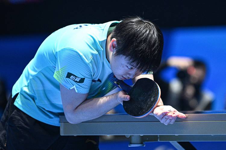 2018乒乓球世界杯直播在哪里看?