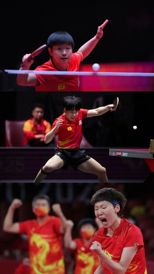 2018乒乓球世界杯直播哪里看?