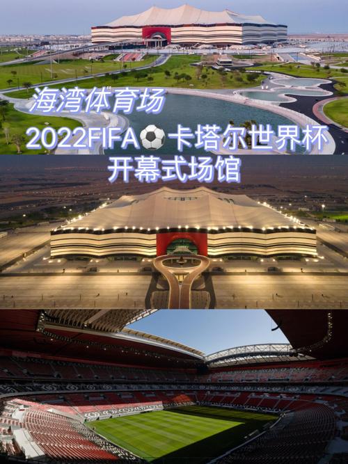 2022年世界杯在哪里举办?