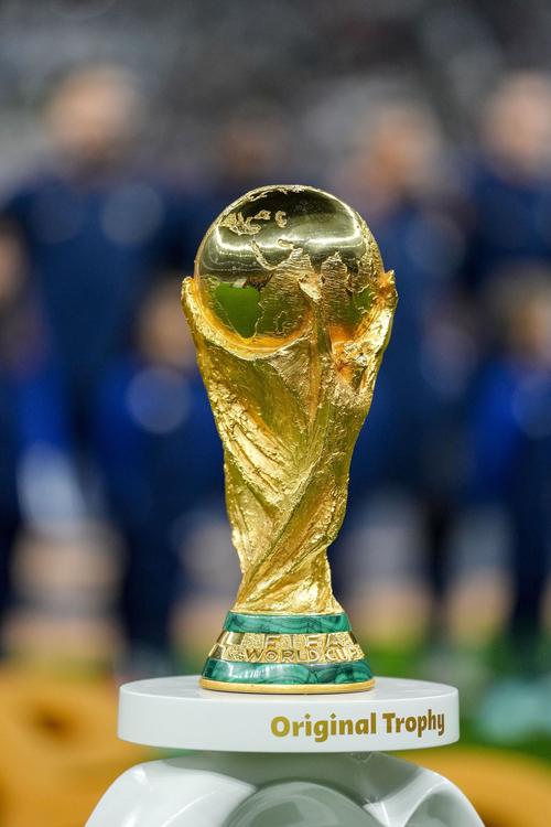 沙特申办2034世界杯,胜算几何?
