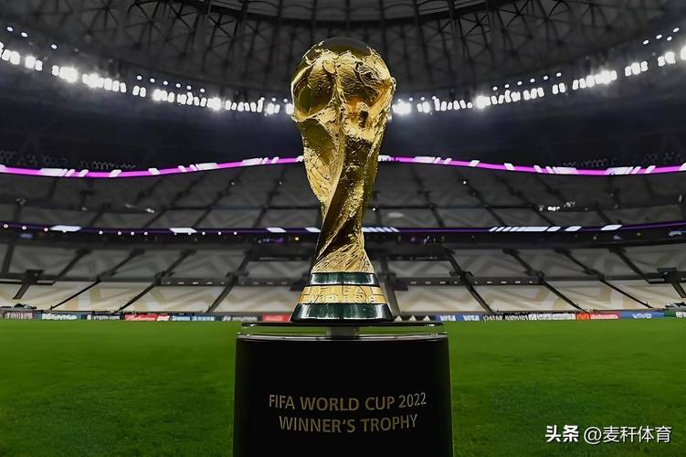 2021年世界杯在哪里举办？